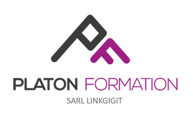 logo platon linkdigit